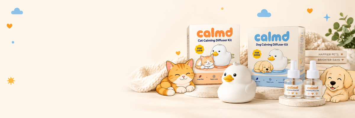New to Calmd? Say hello