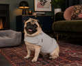 The Calmd Anxiety Wrap - Gentle Pressure Vest for Stressed Dogs