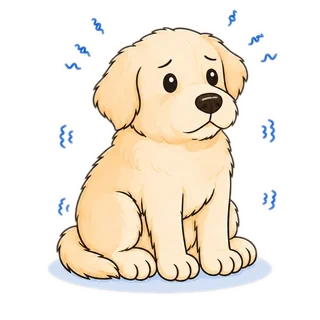 An anxious pup — the moments calmd was built for